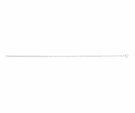 Silver maxibel filed 20